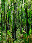 FORET - 110 x 110 cm.jpg
